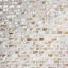 Baroque Pearls Mini Brick 12 in. x 12 in. Pearl Glass Mosaic Floor and Wall Tile by Ivy Hill Tile -Ivy Hill Tile Sales beige cream ivy hill tile glass tile ext3rd102039 64 1000
