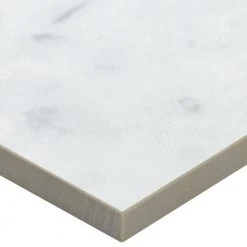 Marmo Bianco 11.81 in. x 23.62 in. Matte Marble Look Porcelain Floor and Wall Tile (11.62 sq. ft./Case) by Ivy Hill Tile 15 Marmo Bianco 11.81 in. x 23.62 in. Matte Marble Look Porcelain Floor and Wall Tile (11.62 sq. ft./Case) by Ivy Hill Tile -Ivy Hill Tile Sales bianco ivy hill tile porcelain tile ext3rd101666 76 1000