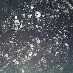 Reno Black 18 in. x 36 in. Satin Marble Floor and Wall Tile (9 sq. ft. / Case) by Ivy Hill Tile 13 Reno Black 18 in. x 36 in. Satin Marble Floor and Wall Tile (9 sq. ft. / Case) by Ivy Hill Tile -Ivy Hill Tile Sales black ivy hill tile marble tile ext3rd100545 44 1000