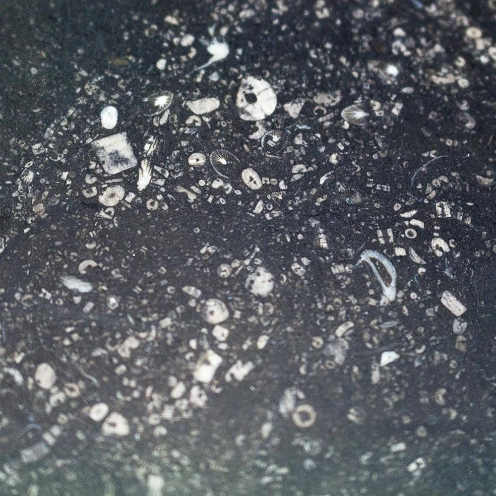 Reno Black 18 in. x 36 in. Satin Marble Floor and Wall Tile (9 sq. ft. / Case) by Ivy Hill Tile 7 Reno Black 18 in. x 36 in. Satin Marble Floor and Wall Tile (9 sq. ft. / Case) by Ivy Hill Tile - Image 5