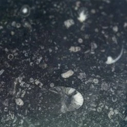 Reno Black 18 in. x 36 in. Satin Marble Floor and Wall Tile (9 sq. ft. / Case) by Ivy Hill Tile 14 Reno Black 18 in. x 36 in. Satin Marble Floor and Wall Tile (9 sq. ft. / Case) by Ivy Hill Tile -Ivy Hill Tile Sales black ivy hill tile marble tile ext3rd100545 fa 1000