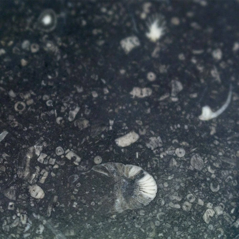 Reno Black 18 in. x 36 in. Satin Marble Floor and Wall Tile (9 sq. ft. / Case) by Ivy Hill Tile 8 Reno Black 18 in. x 36 in. Satin Marble Floor and Wall Tile (9 sq. ft. / Case) by Ivy Hill Tile - Image 6