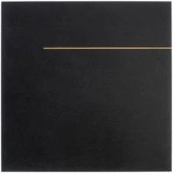 Stria Bar Black 23.62 in. x 23.62 in. Matte Porcelain Floor and Wall Tile (11.62 sq. ft. / Case) by Ivy Hill Tile -Ivy Hill Tile Sales black ivy hill tile porcelain tile ext3rd101568 4f 1000