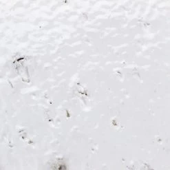 Rhythmic Cellar 2 in. x 9 in. 12mm Glazed Clay Subway Tile (30-piece 4.63 sq. ft. / box) by Ivy Hill Tile -Ivy Hill Tile Sales cellar ivy hill tile clay tile ext3rd104735 77 1000